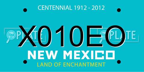 X010EO New Mexico License Plate