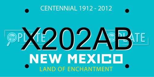 X202AB New Mexico License Plate