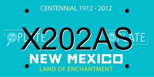 X202AS New Mexico License Plate