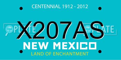 X207AS New Mexico License Plate