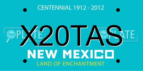 X20TAS New Mexico License Plate