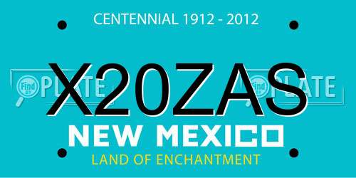 X20ZAS New Mexico License Plate