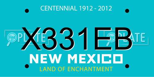 X331EB New Mexico License Plate