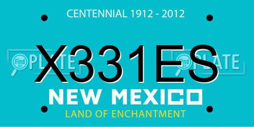 X331ES New Mexico License Plate