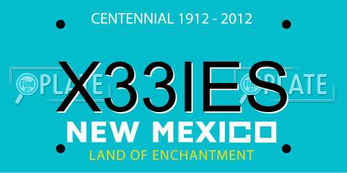 X33IES New Mexico License Plate