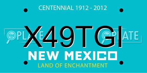 X49TGI New Mexico License Plate