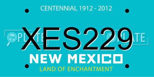 XES229 New Mexico License Plate