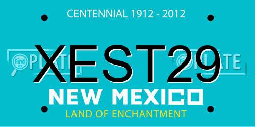 XEST29 New Mexico License Plate
