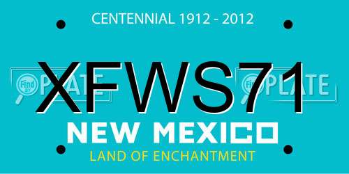 XFWS71 New Mexico License Plate