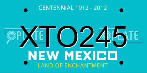 XTO245 New Mexico License Plate