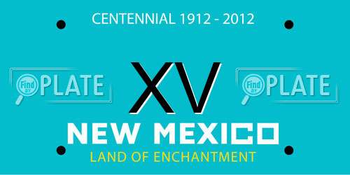 XV New Mexico License Plate