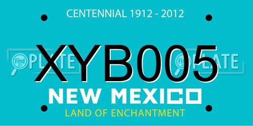 XYB005 New Mexico License Plate