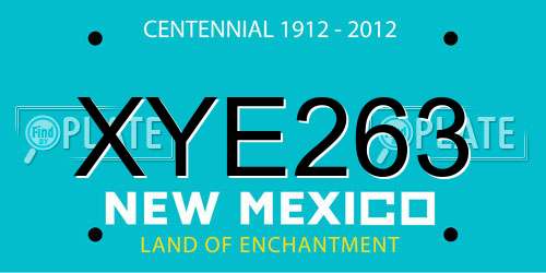 XYE263 New Mexico License Plate