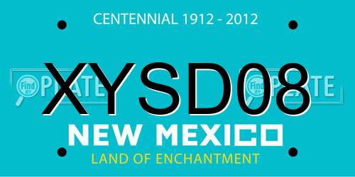 XYSD08 New Mexico License Plate