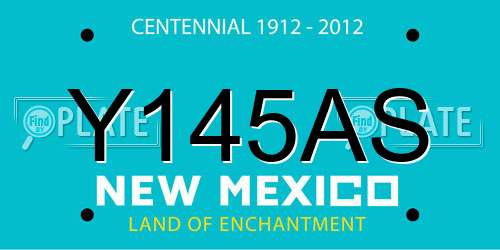 Y145AS New Mexico License Plate