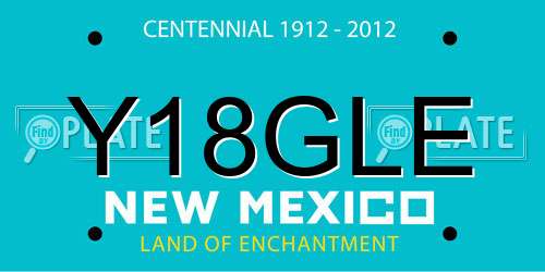 Y18GLE New Mexico License Plate