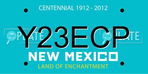 Y23ECP New Mexico License Plate