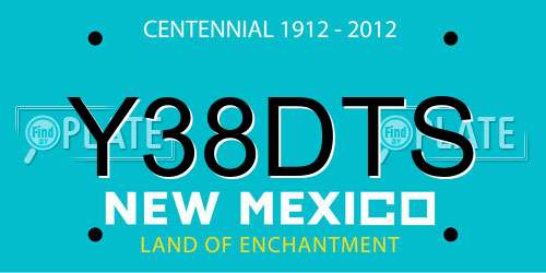 Y38DTS New Mexico License Plate