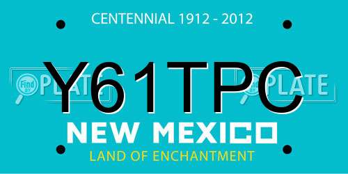 Y61TPC New Mexico License Plate