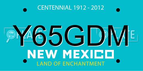 Y65GDM New Mexico License Plate