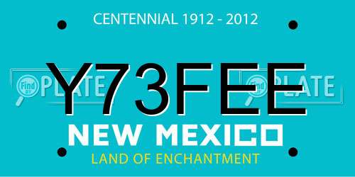 Y73FEE New Mexico License Plate