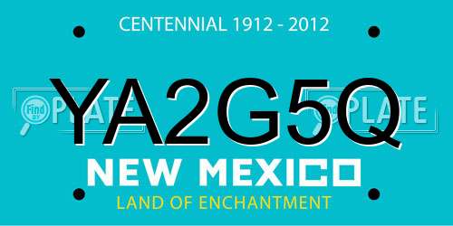 YA2G5Q New Mexico License Plate