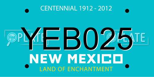 YEB025 New Mexico License Plate