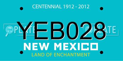YEB028 New Mexico License Plate
