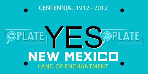 YES New Mexico License Plate