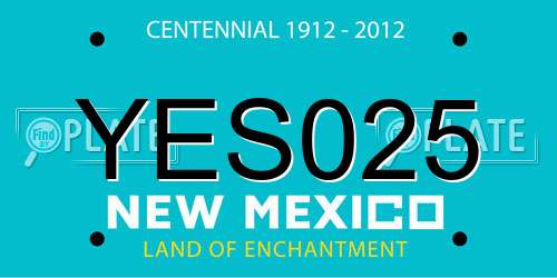YES025 New Mexico License Plate