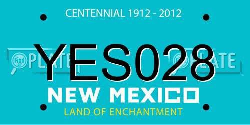 YES028 New Mexico License Plate