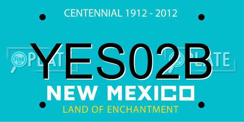 YES02B New Mexico License Plate
