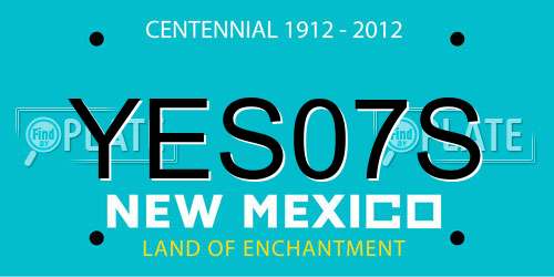 YES07S New Mexico License Plate