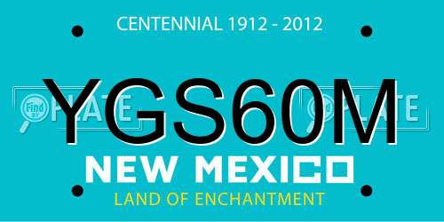 YGS60M New Mexico License Plate