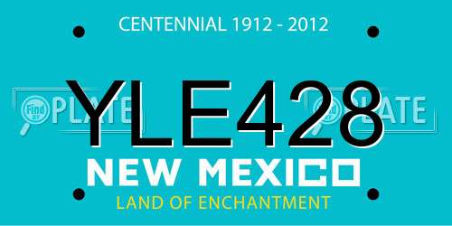 YLE428 New Mexico License Plate