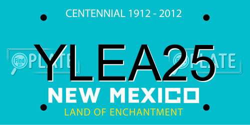 YLEA25 New Mexico License Plate