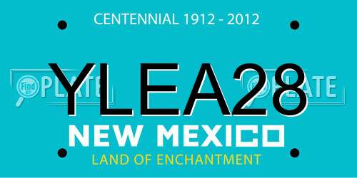 YLEA28 New Mexico License Plate
