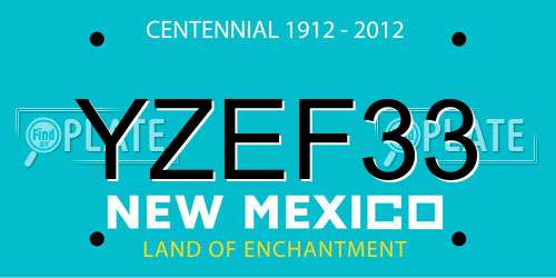 YZEF33 New Mexico License Plate