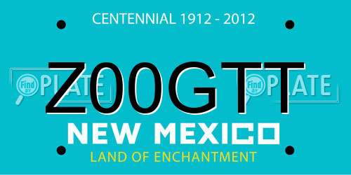 Z00GTT New Mexico License Plate