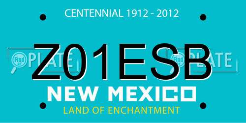Z01ESB New Mexico License Plate