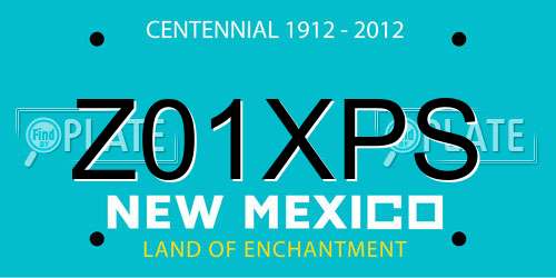 Z01XPS New Mexico License Plate