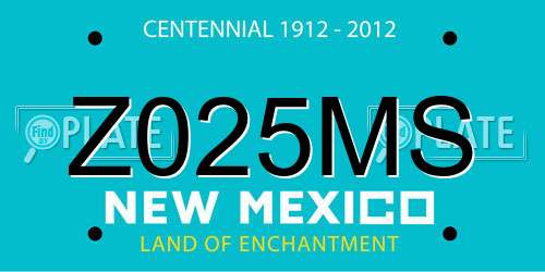 Z025MS New Mexico License Plate