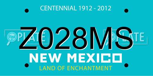 Z028MS New Mexico License Plate