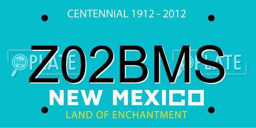 Z02BMS New Mexico License Plate
