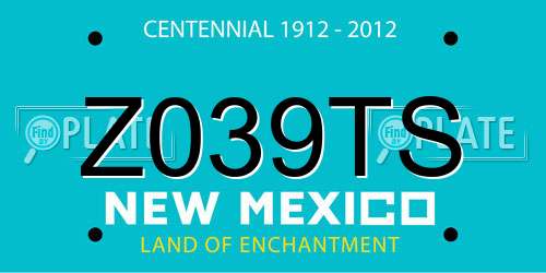 Z039TS New Mexico License Plate