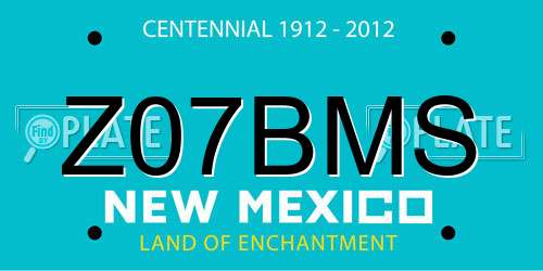 Z07BMS New Mexico License Plate