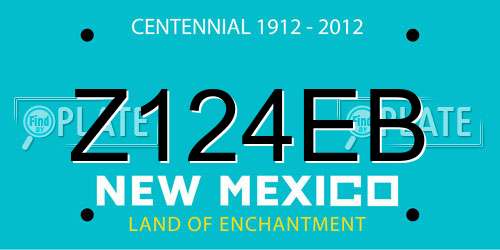 Z124EB New Mexico License Plate