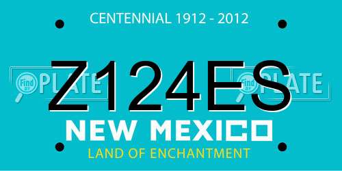 Z124ES New Mexico License Plate