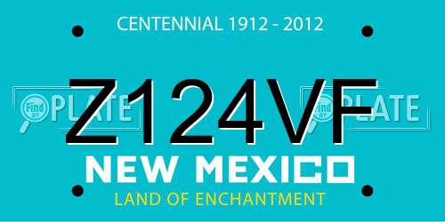 Z124VF New Mexico License Plate