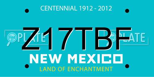 Z17TBF New Mexico License Plate